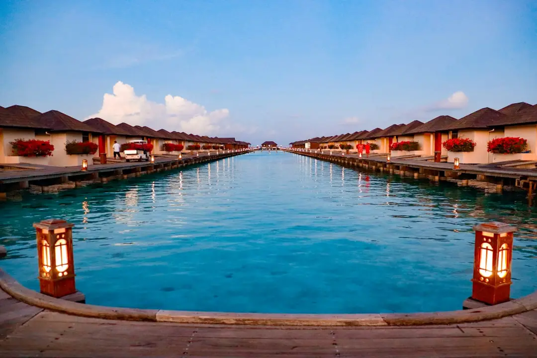 6c8a5bb587f56db8eeda10dffb34fe9d4edb8934